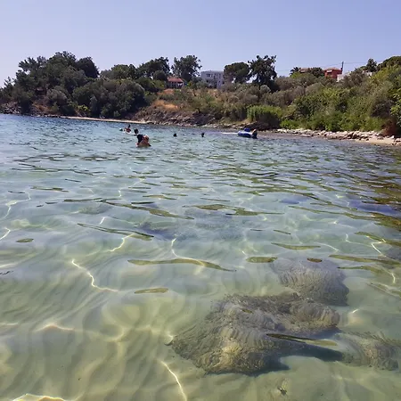 Stella's Garden * PalaiónTsiflíkion